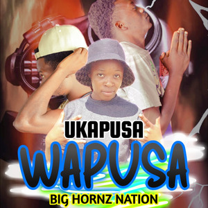 Ukapusa Wapusa