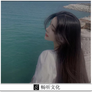 全网最火蹦迪曲(DJ版)