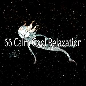 平静的夜晚休息