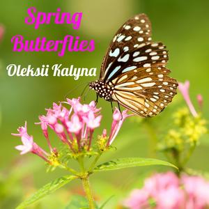 Spring Butterflies