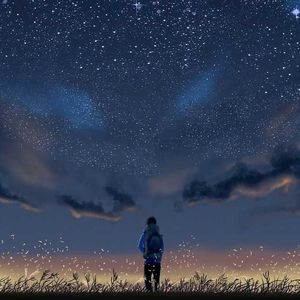 LR 沿途的风景 完整版