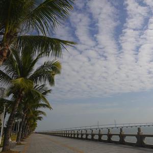 放松心情的音乐.仙境（八音盒）