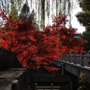 塔山路_105333231132862984_1771590591112.wav