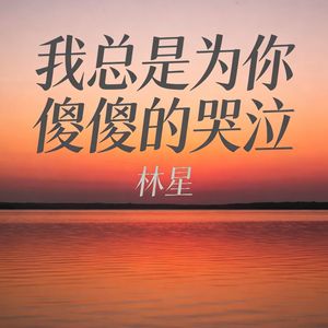 我总是为你傻傻的哭泣(伴奏)