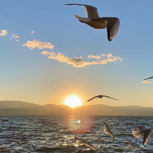 巴山夜雨意后池.wav