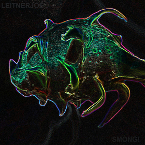 Can You Make It Till the End?