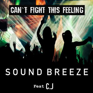 Can't Fight This Feeling