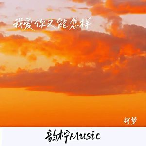 我爱你又能怎样