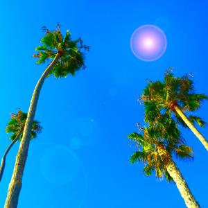 Summer Jam (feat. Sleepy Boi)