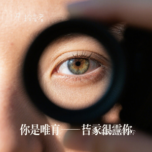 我的眼里只有你