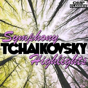 Symphony No. 1 in G Minor, Op. 13, "Winter Dreams": II. Land of Desolation, Land of Mists