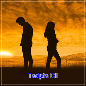 Zindagi Tere Saath