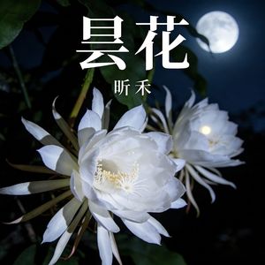 昙花（伴奏）