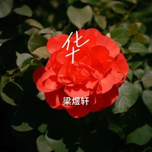 华 (Cover 左峰)