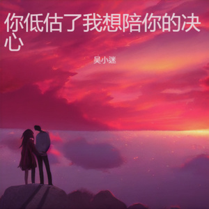 你低估了我想陪你的决心