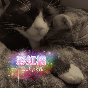 彩虹橋