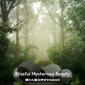 Quiet Interlude Drifts