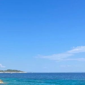 繁花盛开的时候