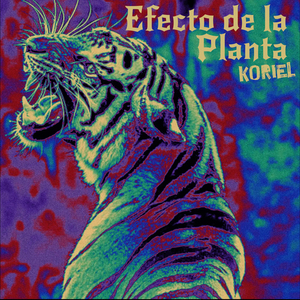 Efecto de la Planta