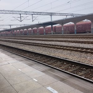 材障条果(12).wav