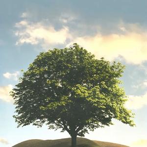 Real(prod.@rocky x K4pel)