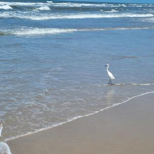 Sun shine and the rain