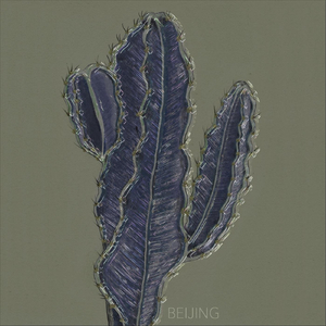 Beijing (feat. D Stellar)