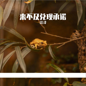 来不及兑现的承诺