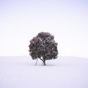 사랑하는 이에게 (inst.)