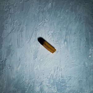 타버린 나무는 거름이 된다고 하지만