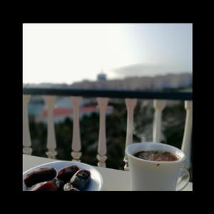 הקונספט של תמרים