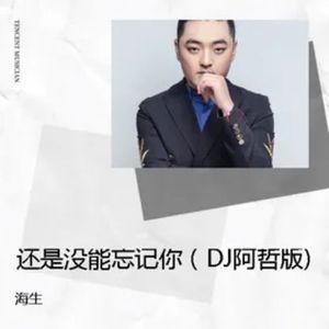 还是没能忘记你(DJ阿哲版)