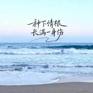 种下情根长满一身伤