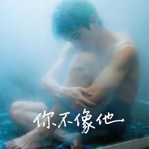 你不像他（不插电版）