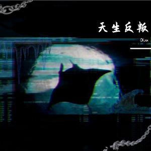 黑色柳丁（翻自 田馥甄）