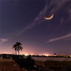 这是啥呀这也太好吃了