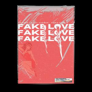 Fake Love