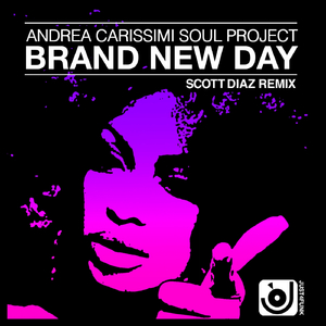 Brand New Day (Scott Diaz Instr. Remix)