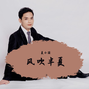 风吹半夏 伴奏