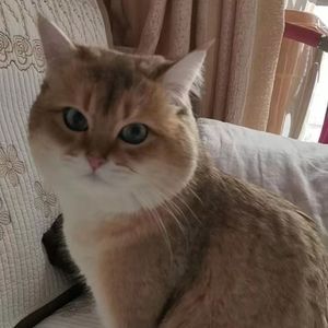 那个女孩