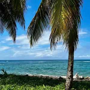 DESTROZADA (Bonus Track)