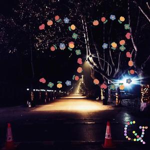 尘（Dust） 伴奏