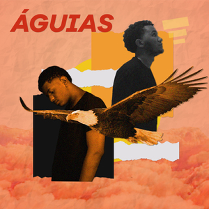 Águias
