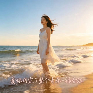 爱你用完了整个青春