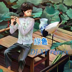 陈雪凝-绿色 (DJXY,ASHremix) Bootleg！（DJXy_official remix）