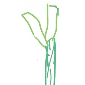 来不及爱你 雨就停了