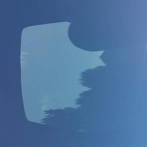 The Need (The Pain it Brings)