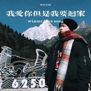 我爱你但是我要回家