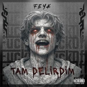 Tam Delirdim