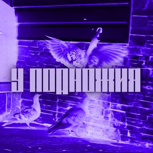 Миро-воззрение